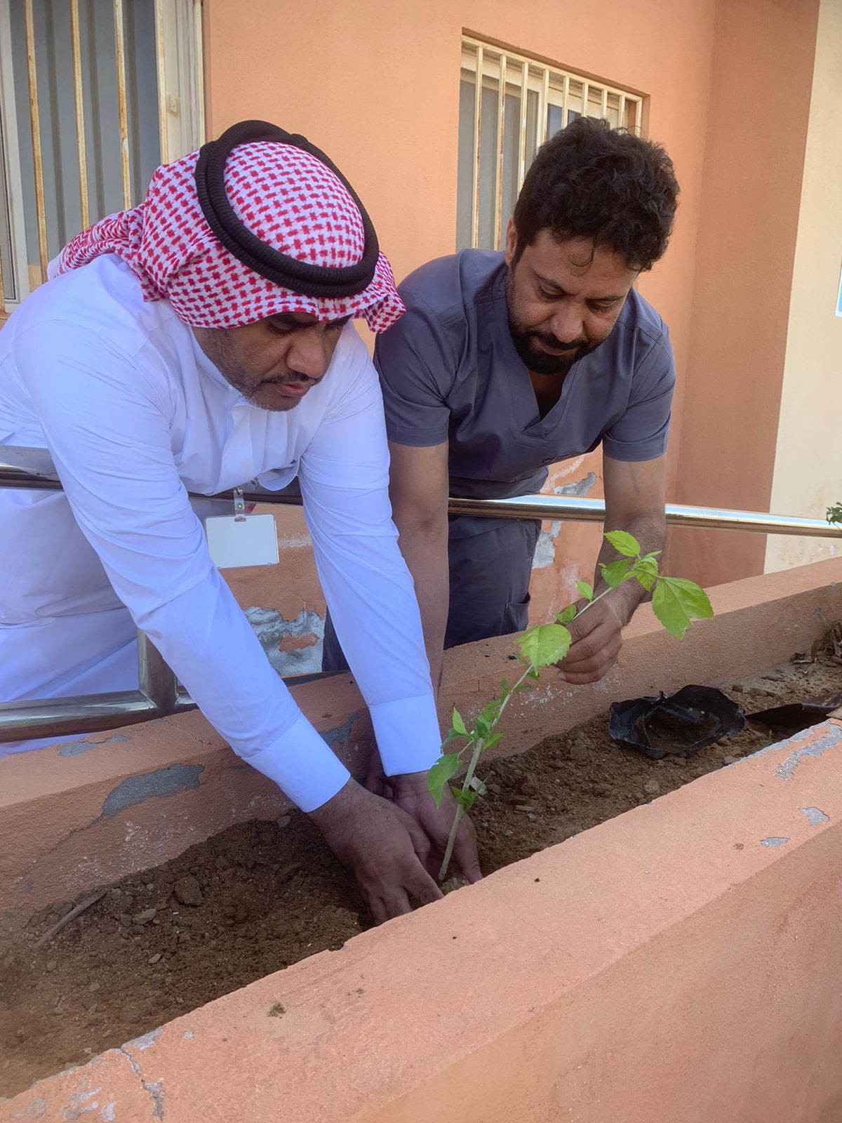 مبادرات للتشجير في الشعيبة وبحرة 
