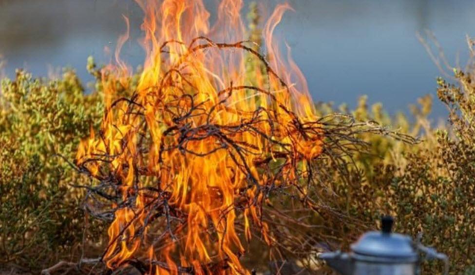 الأمن البيئي يضبط (13) مخالفًا لنظام البيئة لإشعالهم النار في المناطق المحمية وأراضي الغطاء النباتي
