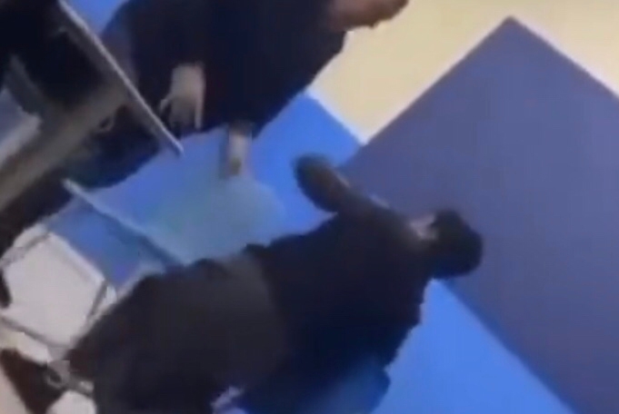 بعد فيديو ضرب الطالب.. تعليم حفر الباطن يعلن تشكيل لجنة للتحقيق حول الحادثة 