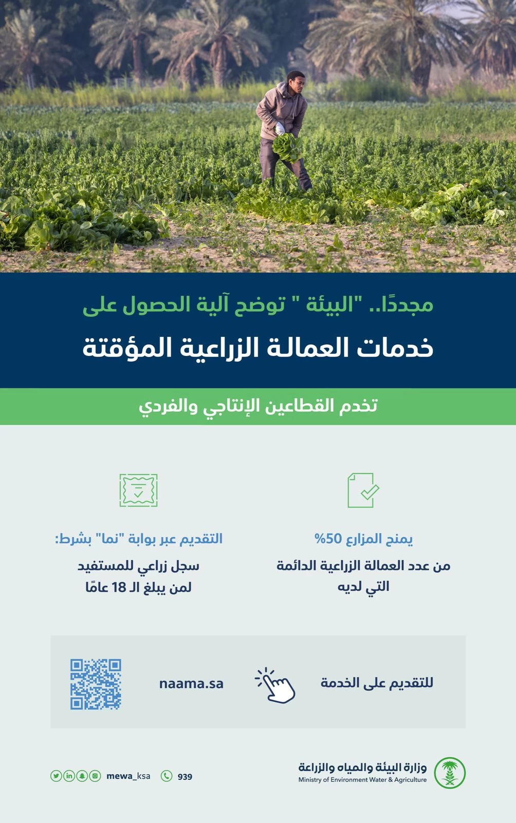 البيئة " توضح آلية الحصول على خدمات العمالة الزراعية المؤقتة