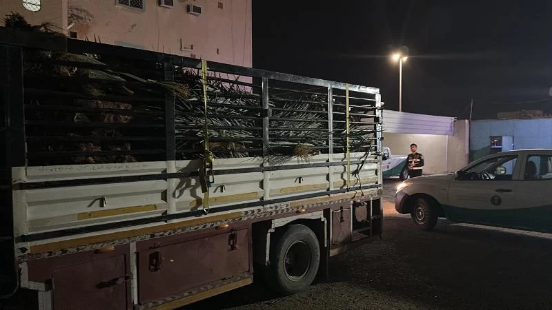 وقاء الجوف يضبط عددٍ من مخالفي نقل وتداول فسائل النخيل