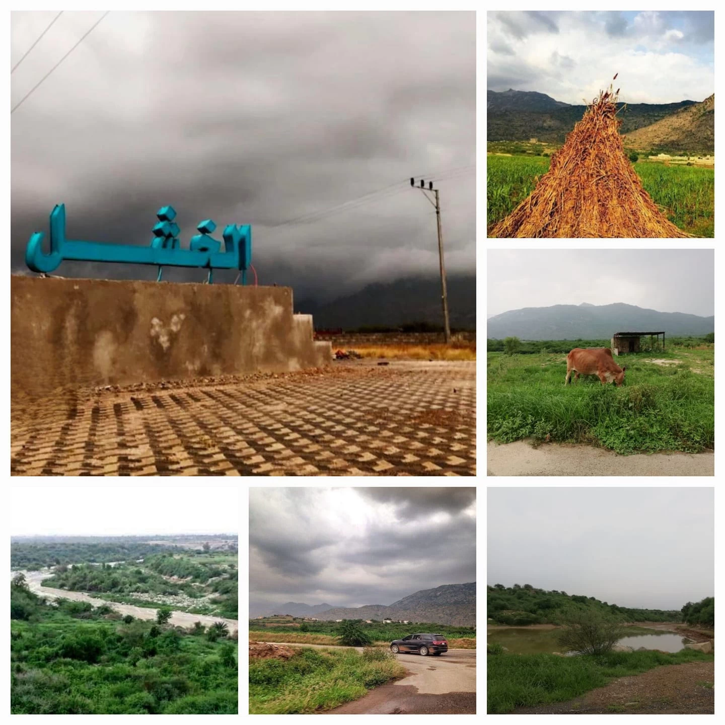 الذكرى الـــ ١٤ للنزوح