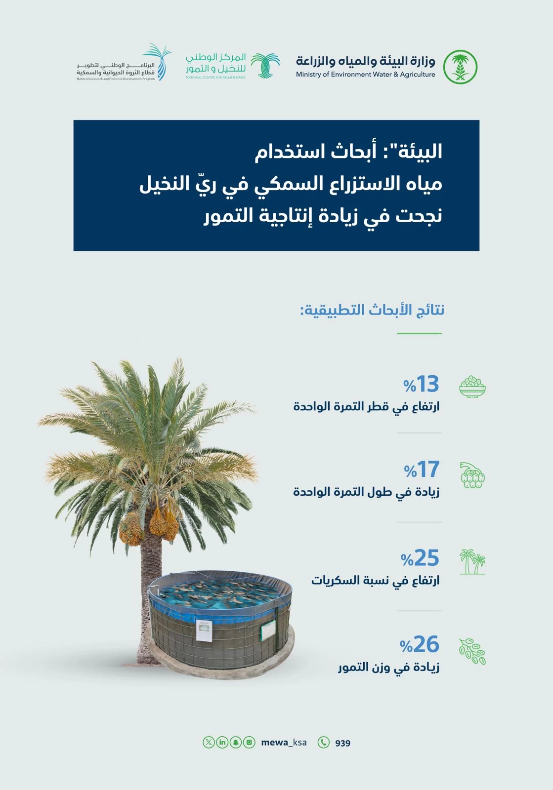 البيئة": أبحاث استخدام مياه الاستزراع السمكي في ريّ النخيل نجحت في زيادة إنتاجية التمور