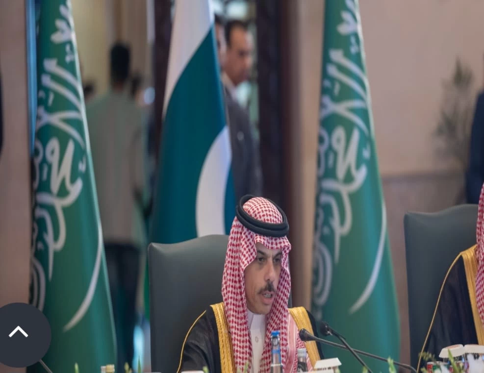 تسير الاستثمار الخاص بين السعودية وباكستان