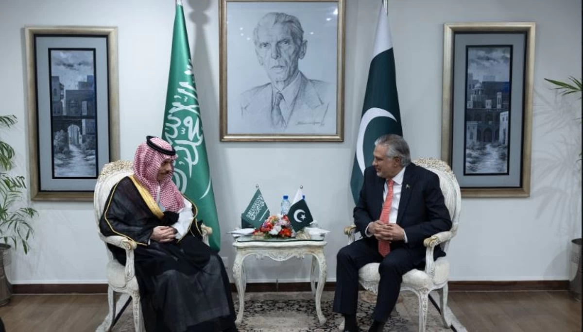 وزير الخارجية ونظيره الباكستاني يناقشان التطورات بالمنطقة