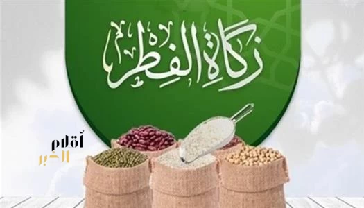 زكاة الفطر.. شعيرة ختامية لرمضان تعزز التكافل وتُدخل السرور على المحتاجين