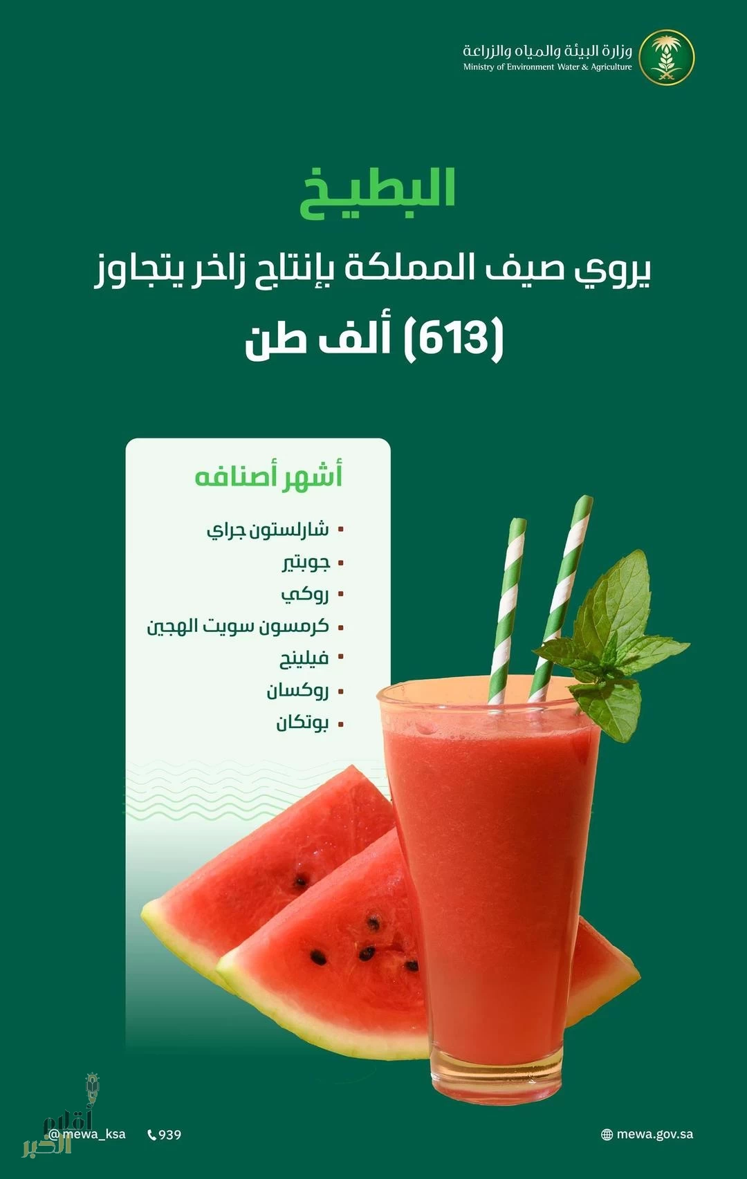 البطيخ يروي صيف المملكة ويغمر أسواق النفع العام بإنتاج يتجاوز (610) آلاف طن