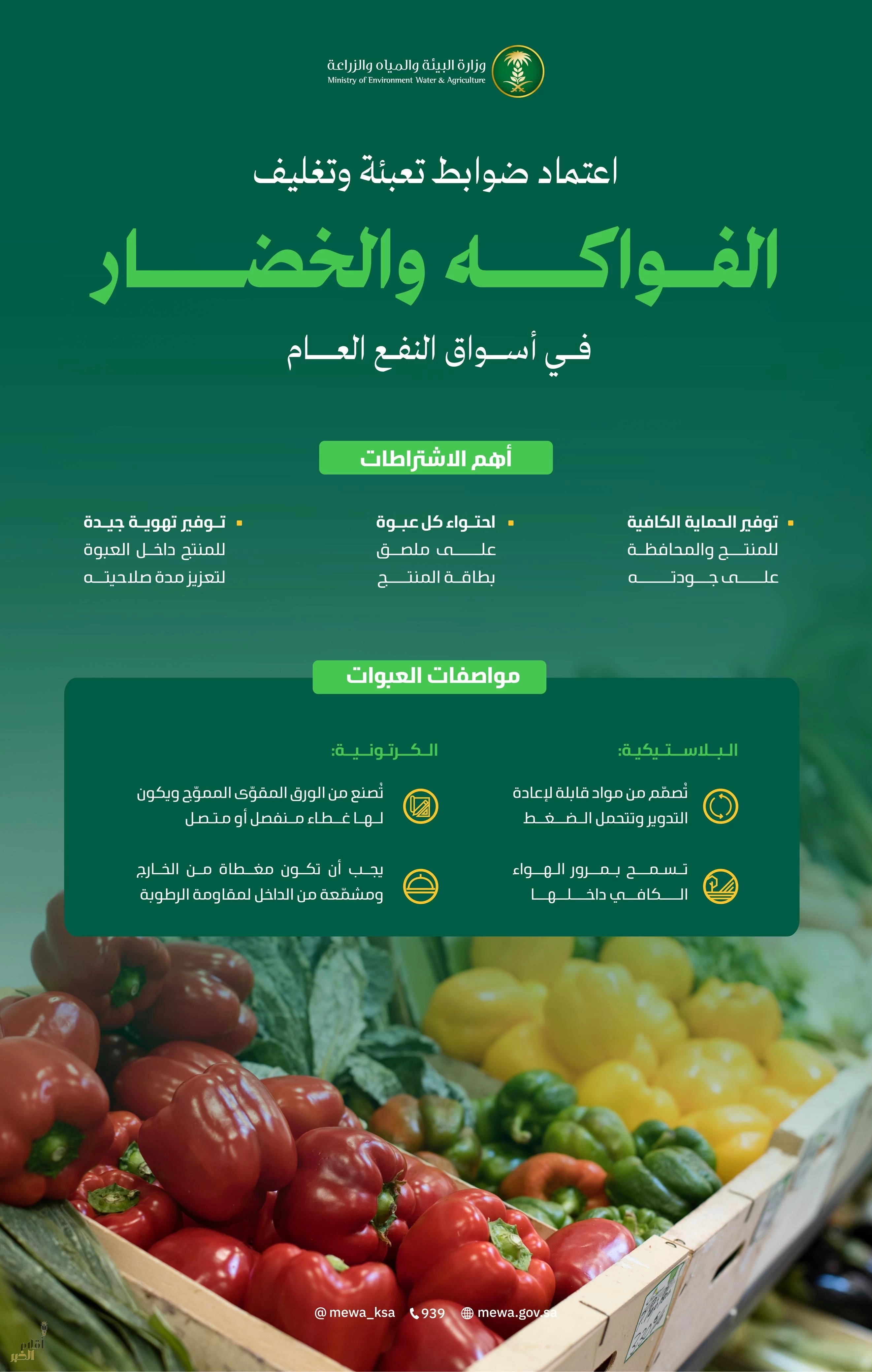 "البيئة" تُعلن اشتراطات تعبئة وتغليف الخضار والفواكه لضمان جودة وسلامة المنتجات الغذائية