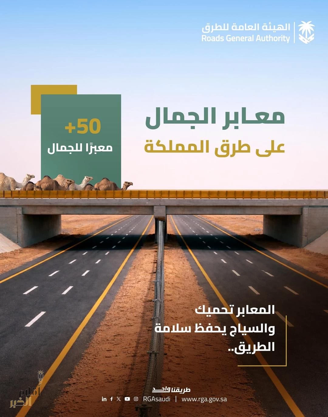 "هيئة الطرق" تطلق حملة للتوعية بخطورة قطع السياج