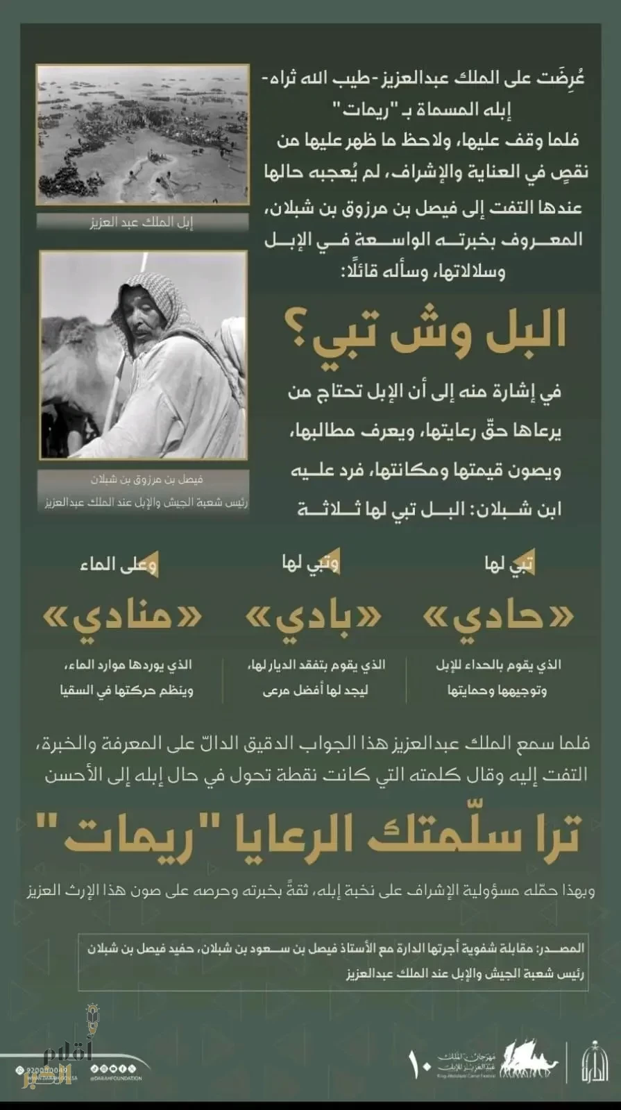 "الدارة" توثق رواية تاريخية عن عناية الملك عبدالعزيز بالإبل وتراثها