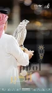 غدًا.. ختام المزاد الدولي لمزارع إنتاج الصقور 2025