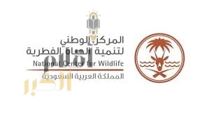 "الحياة الفطرية" و"الرياضات البحرية" يطلقان إرشادات للغوص المستدام