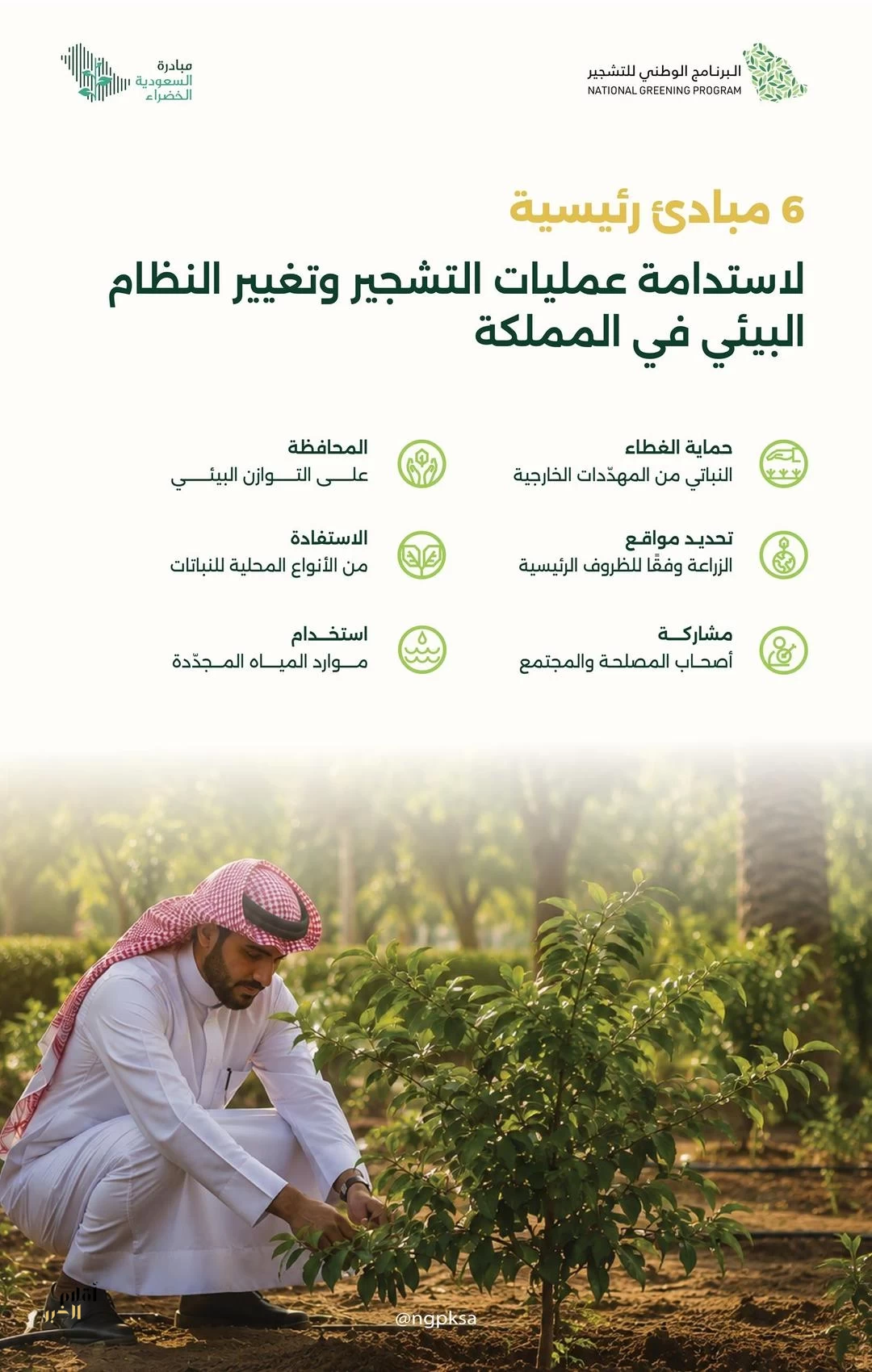 البرنامج الوطني للتشجير: ستة مبادئ رئيسة لاستدامة عمليات التشجير وتغيير النظام البيئي في المملكة