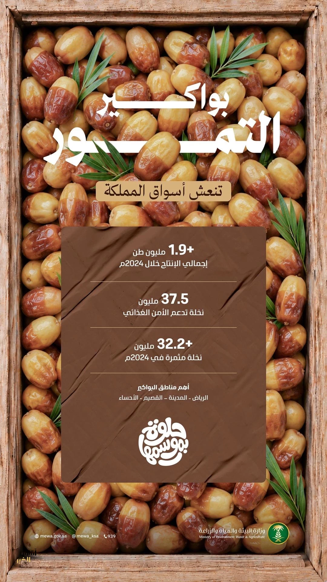 أسواق المملكة تستقبل بواكير التمور.. والقصيم والرياض والأحساء والمدينة تقود موسم حصاد يتجاوز 1.9 مليون طن سنويًا