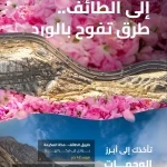 "هيئة الطرق": الطائف وجهة سياحية رائدة تستقطب الزوار بمعالمها التاريخية وشبكة طرق متطورة