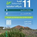 مركز "الغطاء النباتي" يطرح 11 فرصة تنمية مستدامة بشراكات استثمارية في منطقة المدينة المنورة