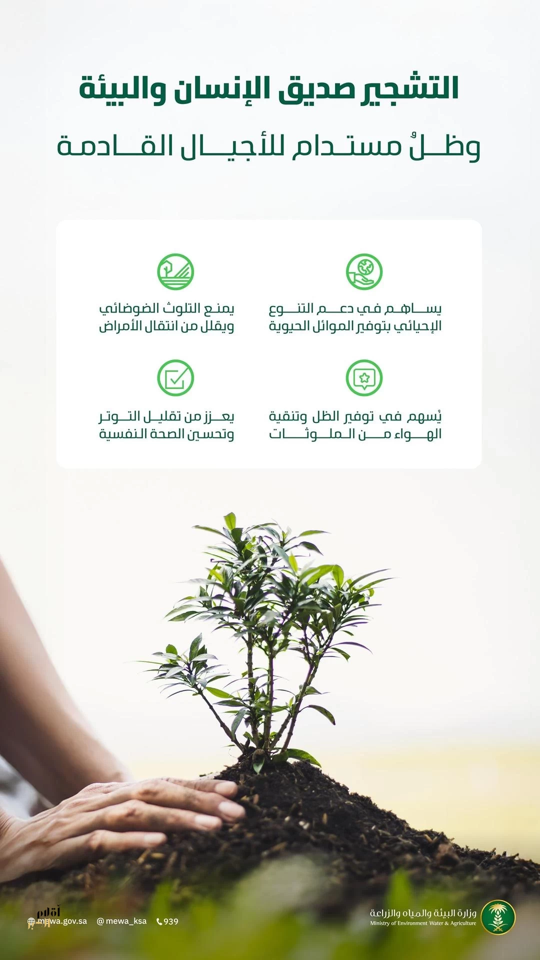 "البيئة": التشجير ركيزة أساسية لخفض درجات الحرارة وتحسين جودة الحياة وتعزيز الاستدامة البيئية