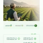 "البيئة" تُطلق منصة المدارس الحقلية الرقمية لتعزيز التحول الرقمي وتمكين المزارعين من الممارسات الزراعية المستدامة