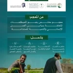 مجمع الملك سلمان العالمي للغة العربية يُطلق "معجم المصطلحات الإنمائية" بالتعاون مع عدد من الجهات الوطنية