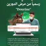 المنظمة العالمية للصحة الحيوانية تُعلن اعتماد الخلو الذاتي للمملكة رسميًا من مرض "الدورين" في الخيول