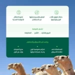 "البيئة" تعتمد الضوابط التنظيمية للمتاجرة بالإبل لتطوير القطاع وحماية حقوق المتعاملين وتعزيز الرفق بالحيوان
