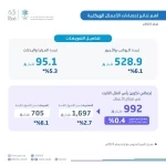 "الإحصاء": نمو الإيرادات التشغيلية لقطاع الأعمال بنسبة 2.3% خلال عام 2025