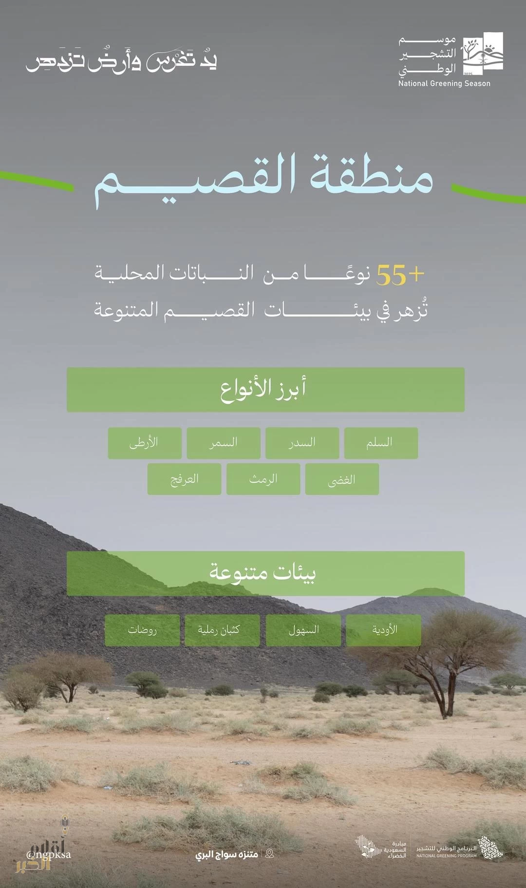 البرنامج الوطني للتشجير: ثراءٌ بيولوجي فريد يُسهم في انتشار 55 نوعًا من النباتات المحلية الملائمة للتشجير في القصيم