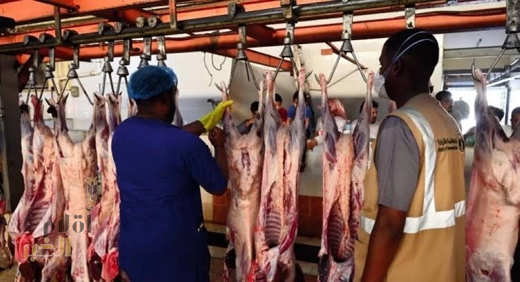 أكثر من 18 ألف أُضحية بالمدينة المنورة في يوم النحر