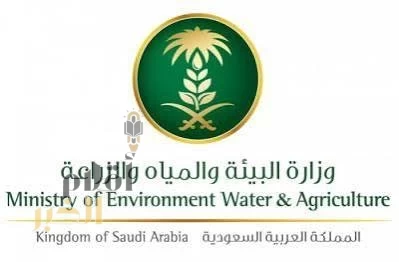 "البيئة" تتوج بجائزة (GLOBAL ESG AWARDS) لتميزها في مجال الابتكار لتحقيق الاستدامة