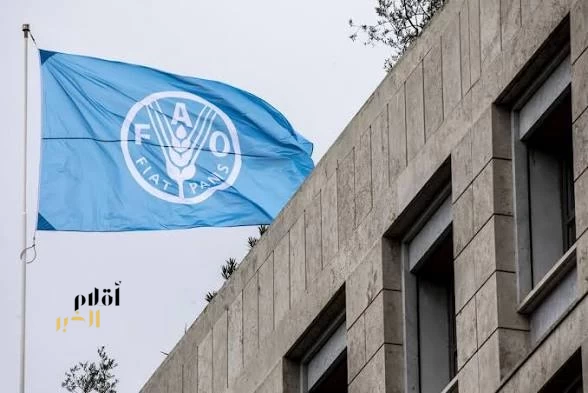 منظمة الفاو: أزمة مضيق هرمز تهدد الأمن الغذائي العالمي