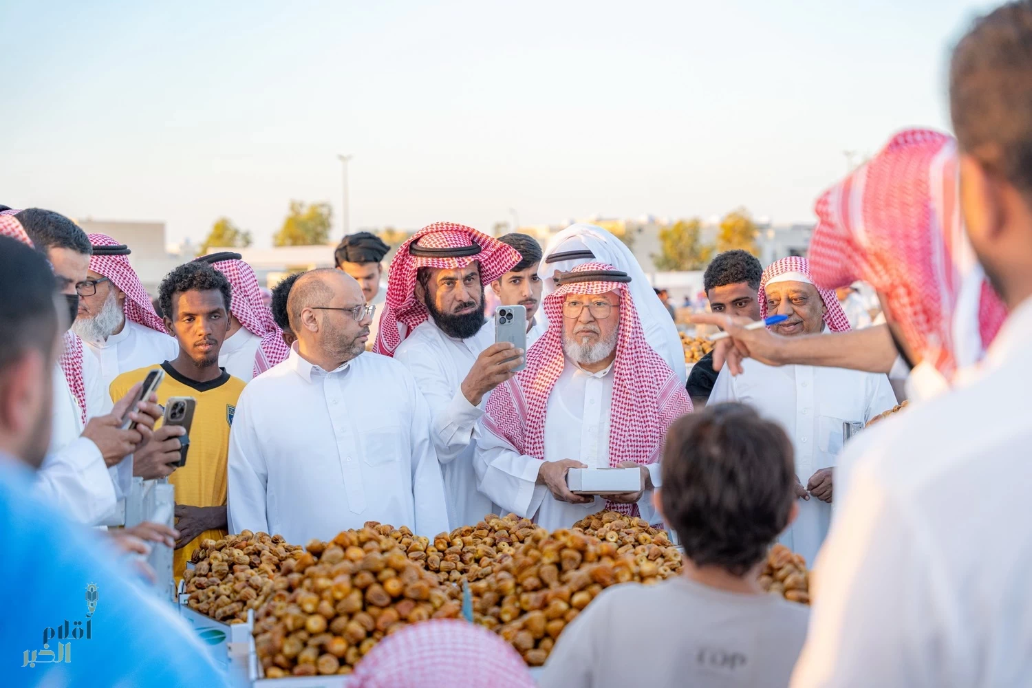 (63) صنفا" من التمور يوميا" في موسم عنيزة الدولي للتمور