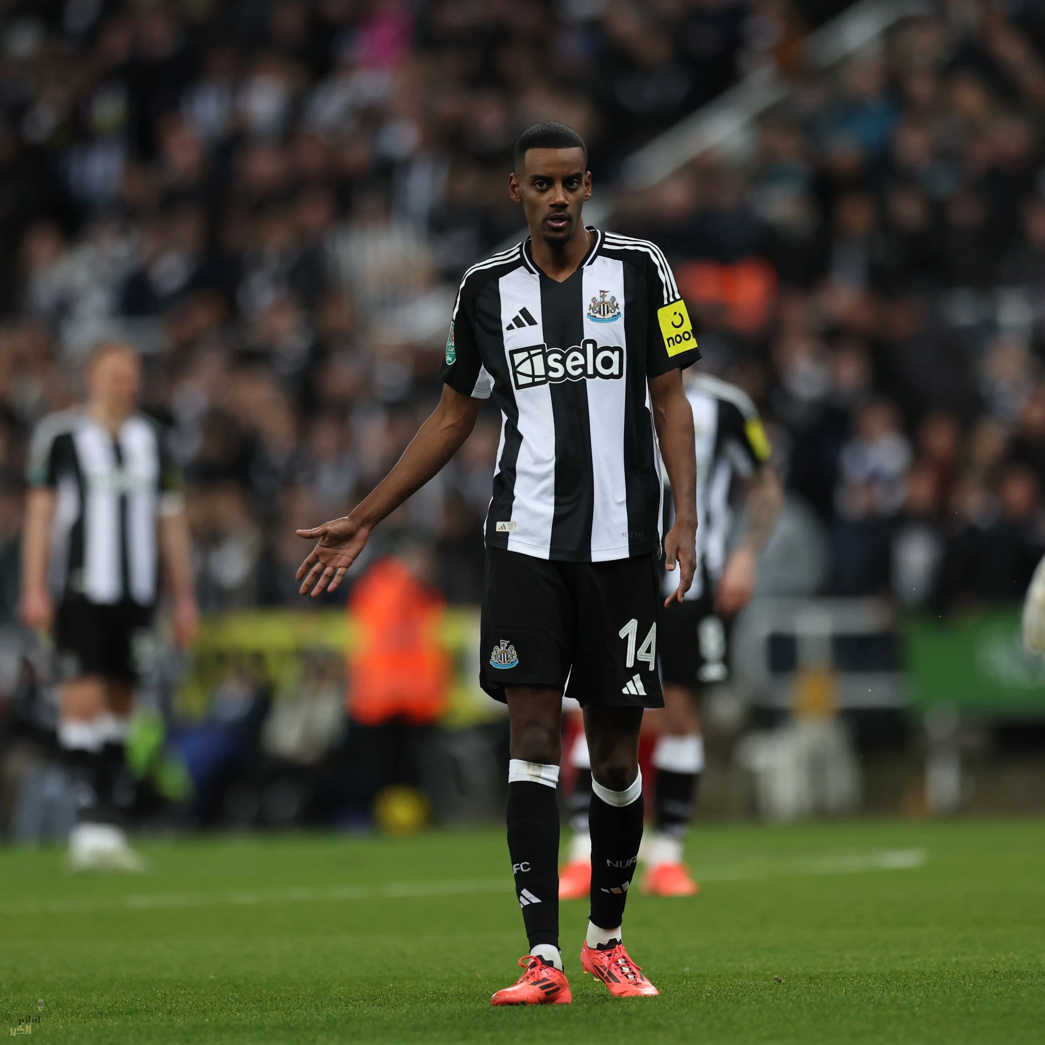 نيوكاسل لنهائي كأس الرابطة بعد فوزه على أرسنال