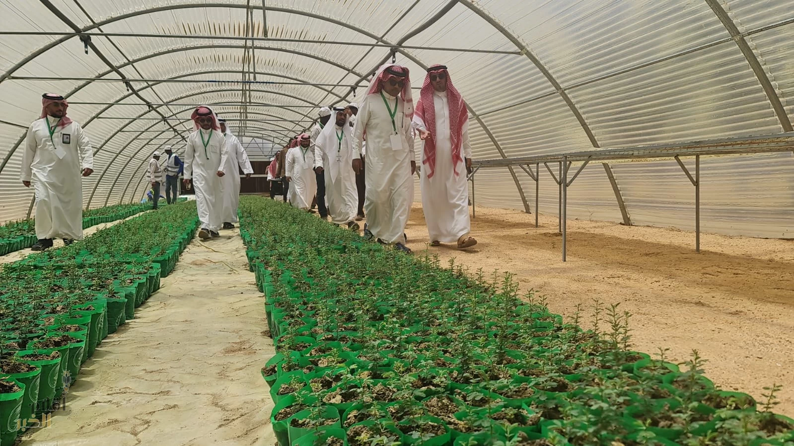 مبادرة لإكثار ورعاية الأنواع النباتية في مشتل العَرج