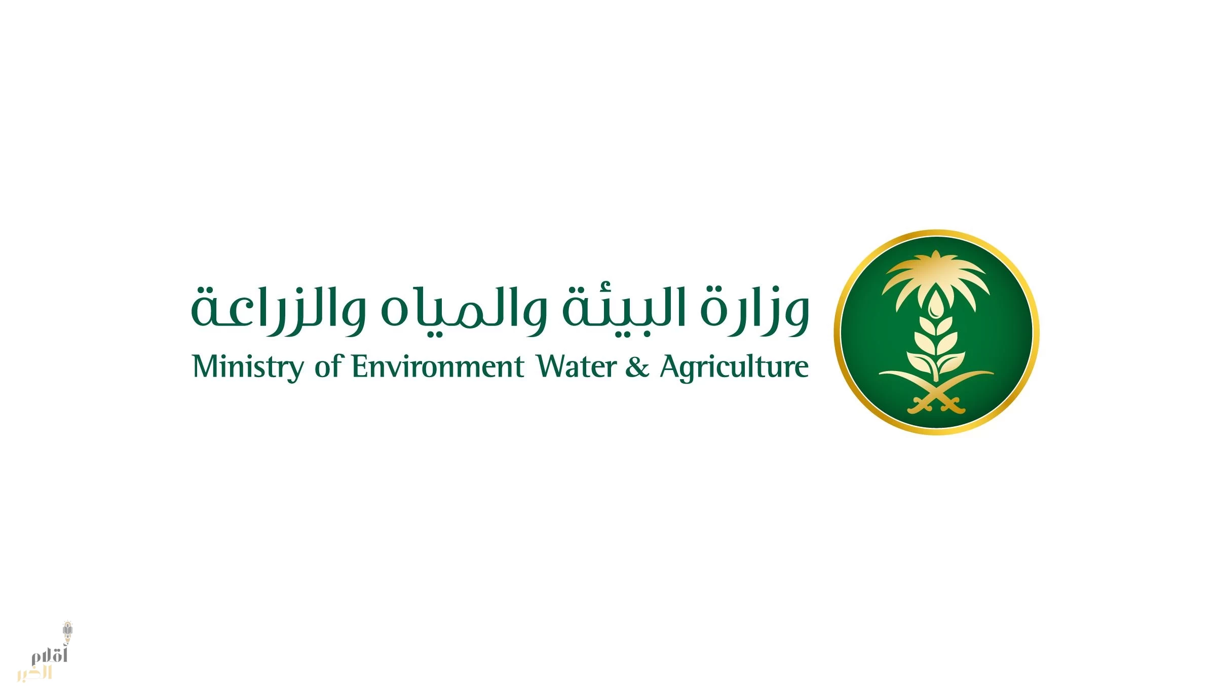"البيئة" تعلن عن فرصة استثمارية واعدة لتربية وتسمين اللحوم الحمراء بالمدينة المنورة على مساحة تتجاوز نصف مليون متر مربع