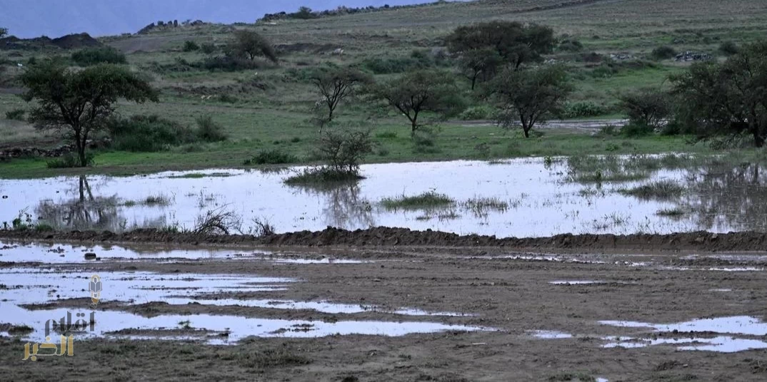 أمطار غزيرة على منطقة عسير