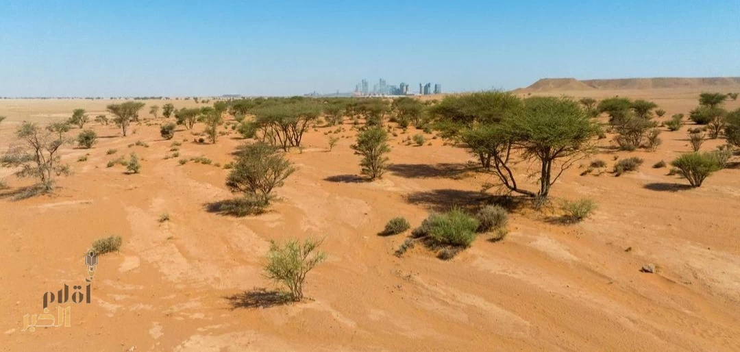 "القدرة على الاستعداد للجفاف".. مبادرة وطنية رائدة تُعزز استدامة البيئة