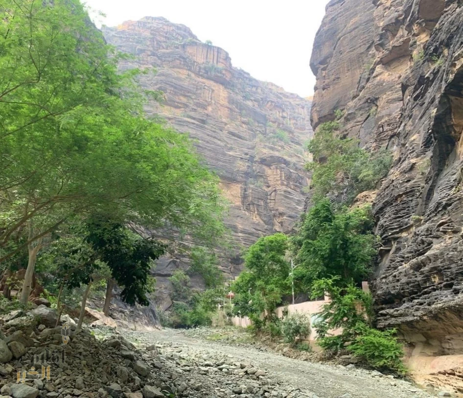 مركز "الغطاء النباتي" يدعو لإبداء رغبات الاستثمار في 13 موقعًا بجازان