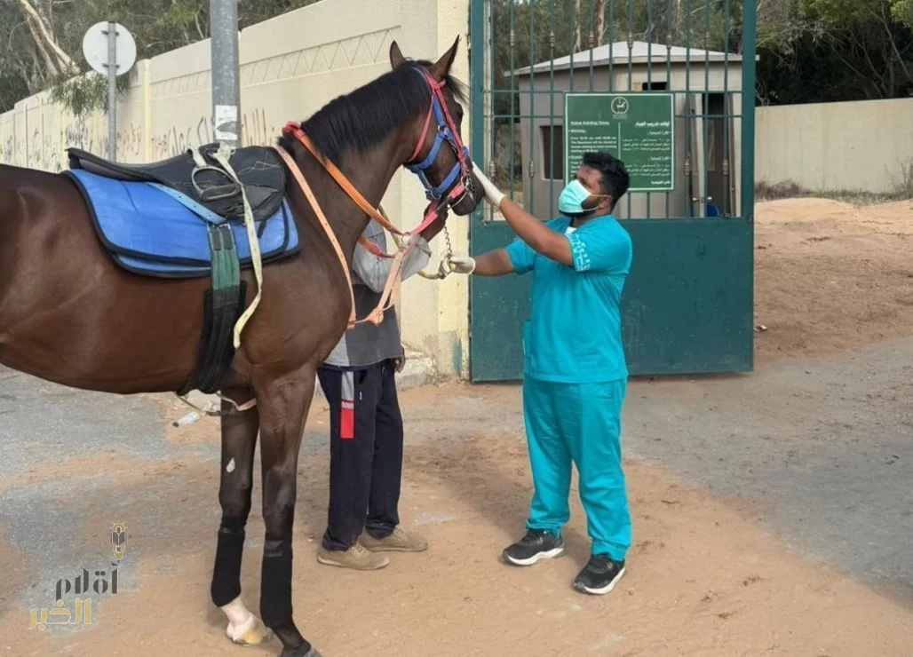 مركز "وقاء" يعلن رسميًّا خلو المملكة من مرض الرعام