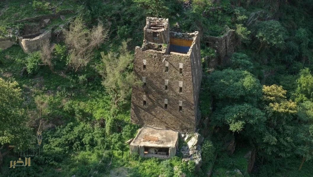 "الغطاء النباتي" يكسو مرتفعات عسير ويضفي عليها جمالًا طبيعيًا