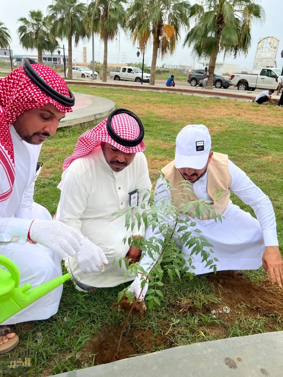 مكتب البيئة والمياه والزراعة بأحد المسارحة ينفّذ مبادرة تشجير حديقة حطين