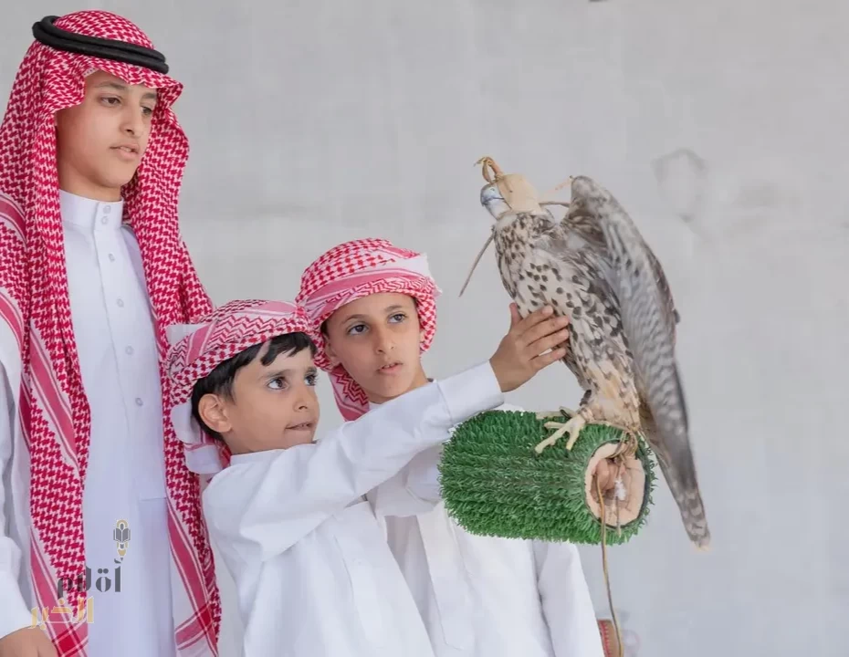 موسم طرح الشاهين يجذب هواة المقناص في الحدود الشمالية