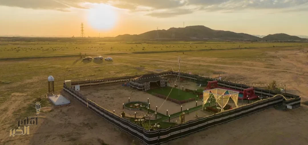 "الغطاء النباتي" يُطلق خدمة إصدار تراخيص التخييم لموسم 2025