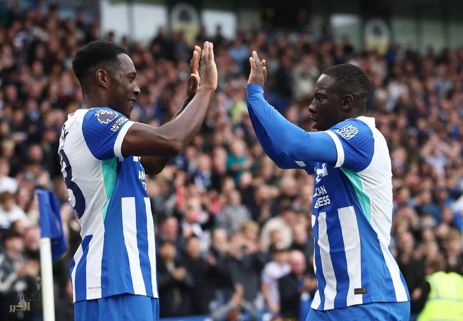 ثنائية ويلبيك تضيء تقود برايتون لعبور نيوكاسل