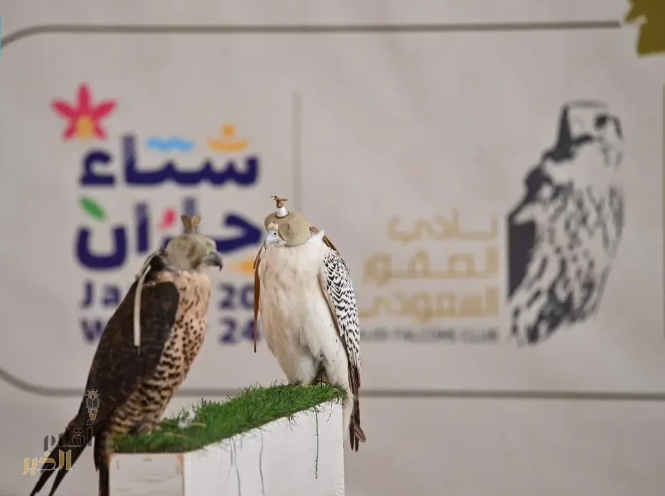 موسم الصقور في جازان.. إرثٌ متجددٌ يحفظ الهوية ويعزز الاقتصاد