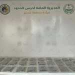 حرس الحدود بمنطقة عسير يُحبط تهريب 33 كجم من الحشيش المخدر