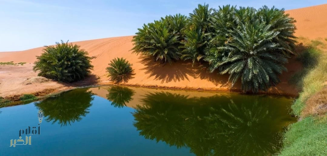 أيُّ التضاريس السعودية دخلت شبكة الجيوبارك العالمية؟