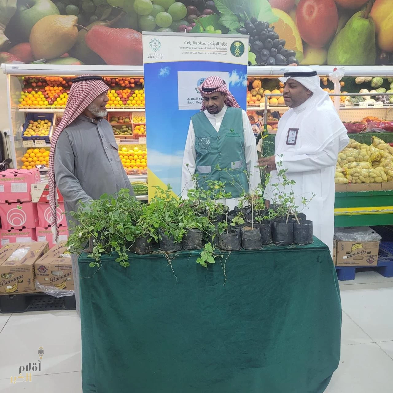 ‏‏بيئة منطقة مكة المكرمة تحتفي بيوم الغذاء العضوي في محافظات المنطقة لتعزيز الوعي بأهمية الزراعة العضوية