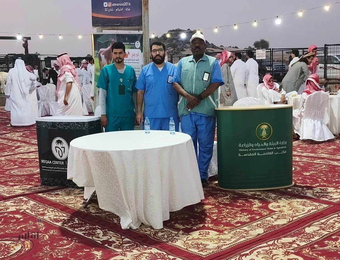 ‏بيئة العاصمة المقدسة تنظّم النسخة الرابعة من ملتقى الماعز البيشي الأبرص