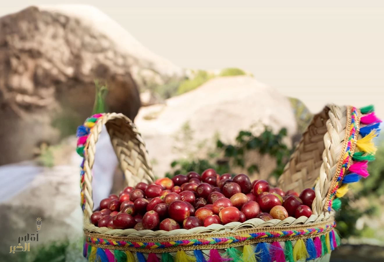 "ريف السعودية" يستهدف رفع إنتاج البن السعودي إلى 7 آلاف طن سنويًا