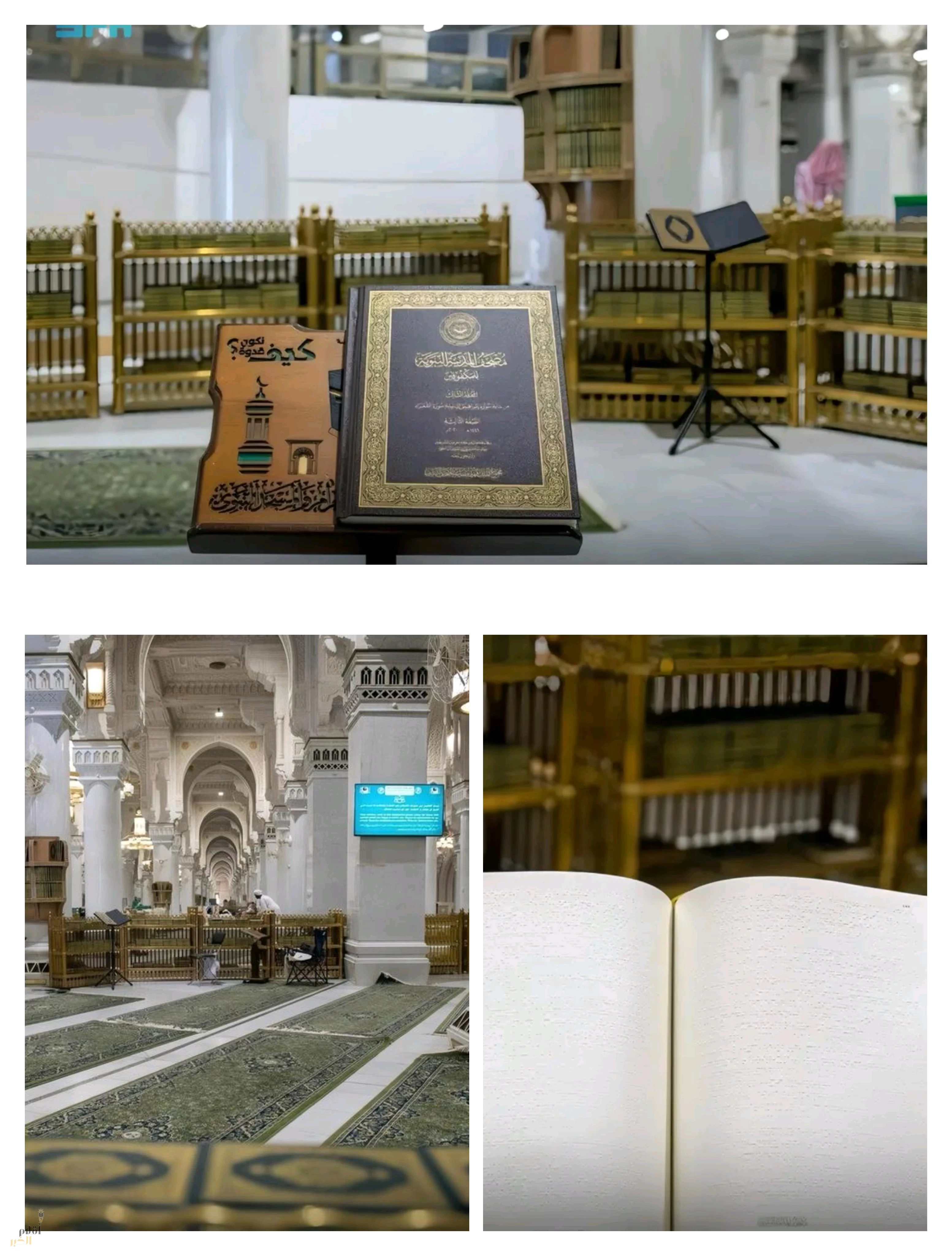 الهيئة العامة للعناية بالحرمين تعزّز منظومة الخدمات المقدّمة لكبار السن وذوي الإعاقة في المسجد الحرام